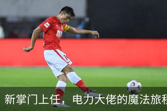 新掌门上任，电力大佬的魔法旅程
