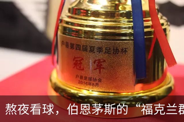 熬夜看球，伯恩茅斯的“福克兰群岛”大合唱有点意思！